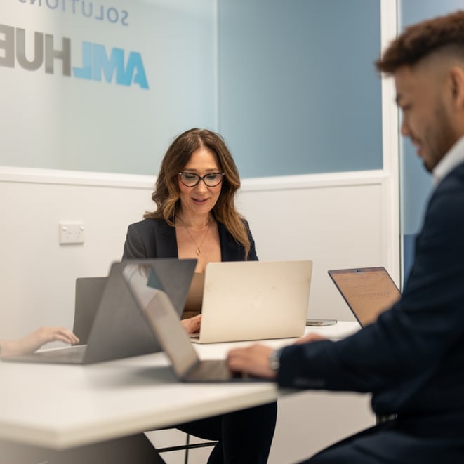 Web image AMLHUB desktop (8)